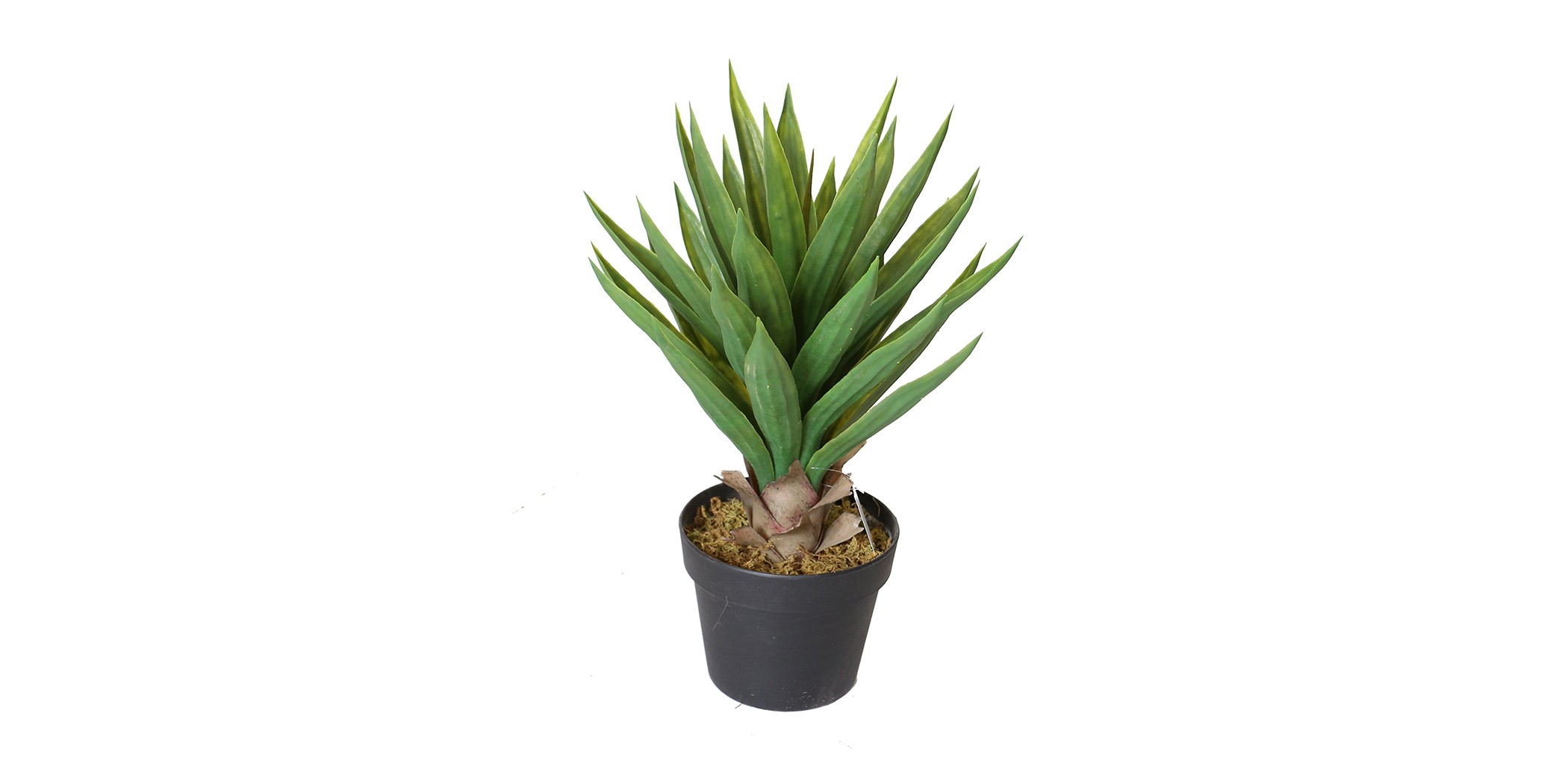 Aloe Plant Artificial 50cm P.Pot 6"