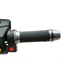 Speedway A2-1 245 Watts (0.245Kw) Black Electric Bike