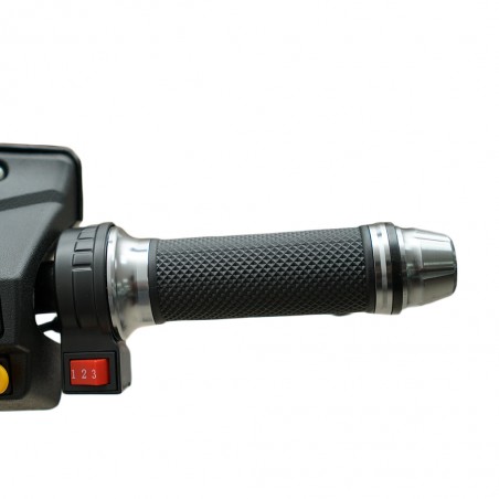 Speedway A2-1 245 Watts (0.245Kw) Black Electric Bike