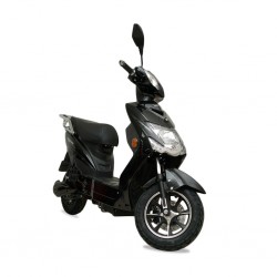 Speedway A2-1 245 Watts (0.245Kw) Black Electric Bike