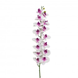 Flower 130cm white and Pink
