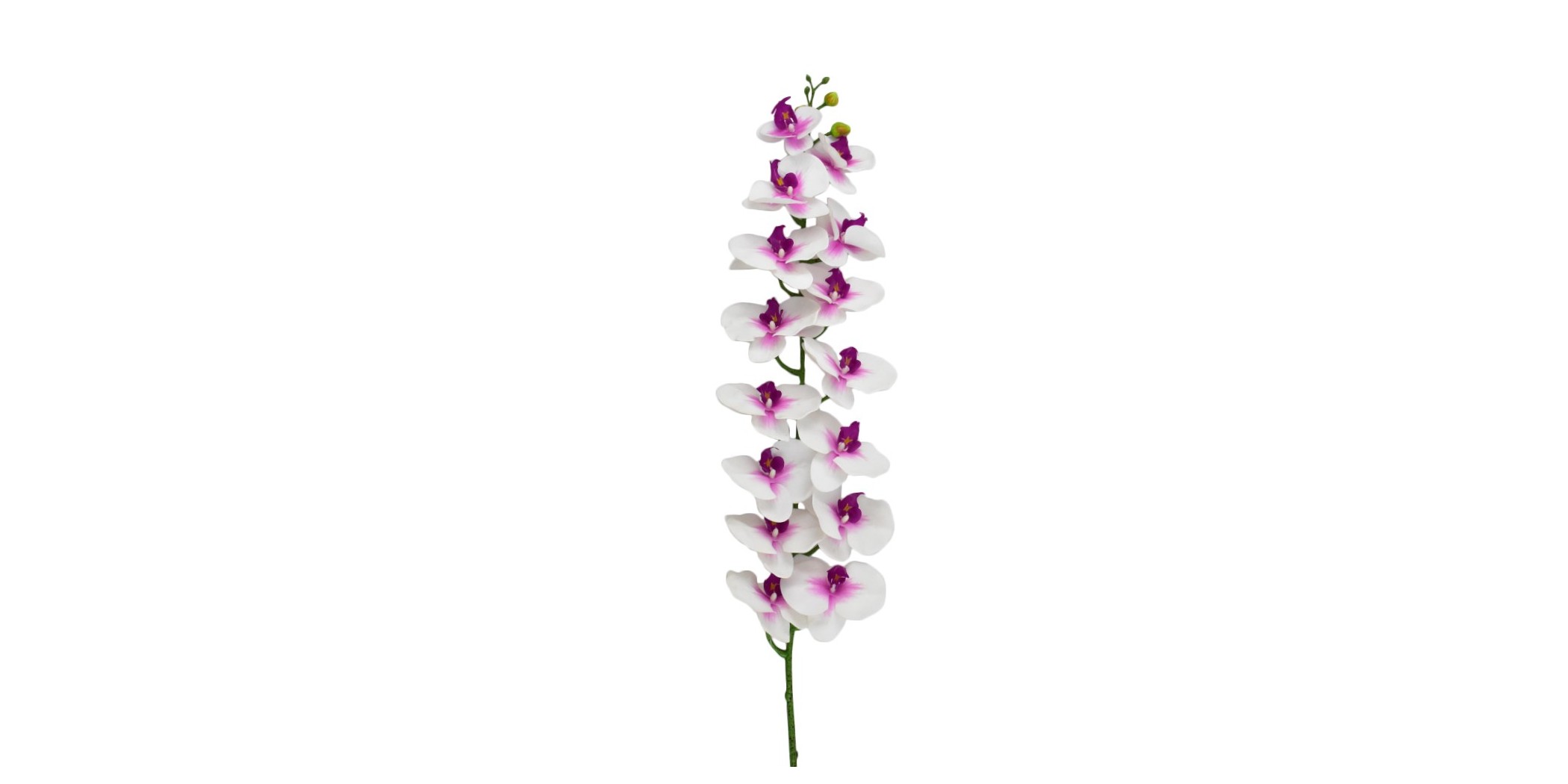 Flower 130cm white and Pink
