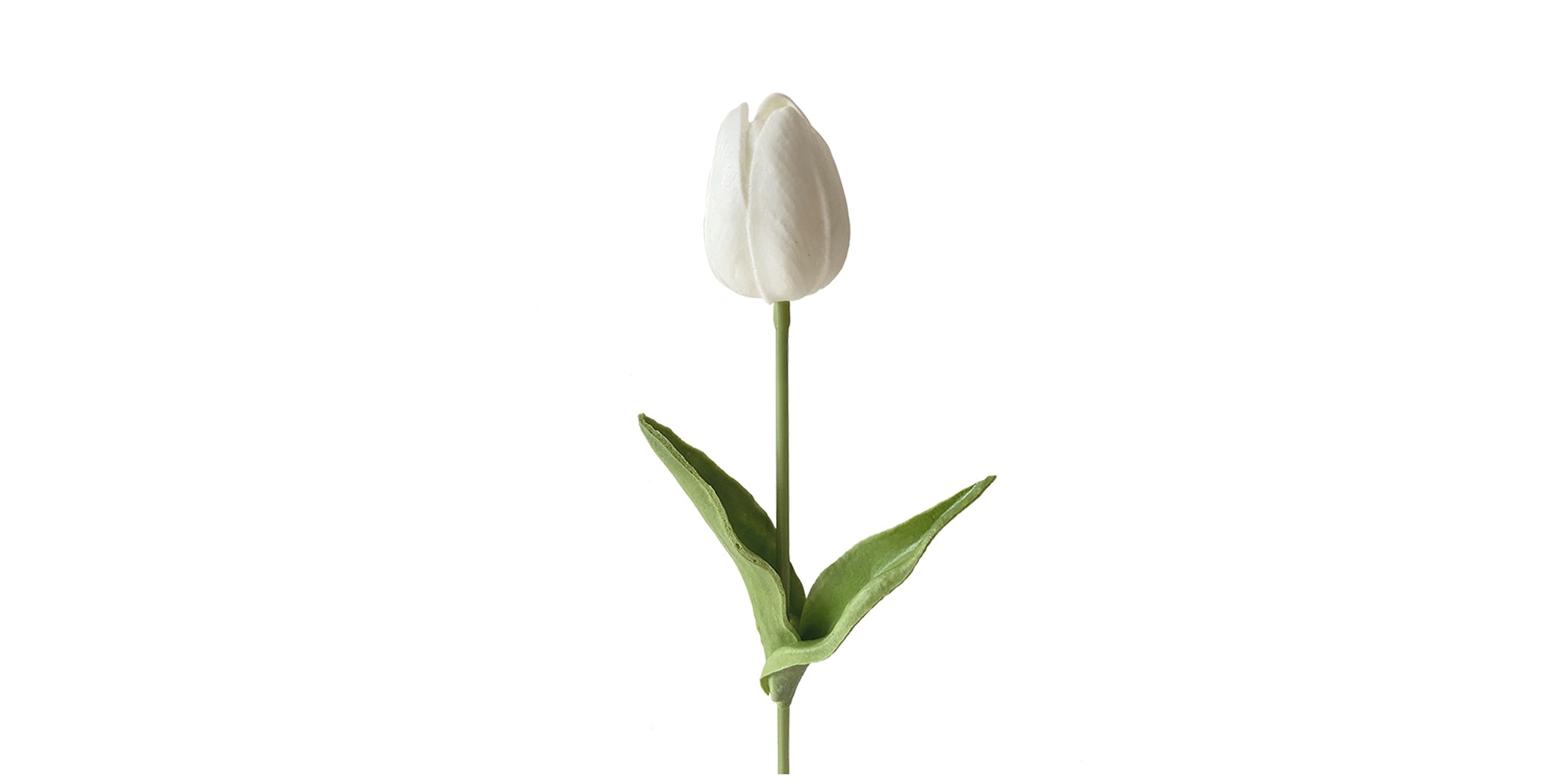 Flower Tulip White - Height 30 cm