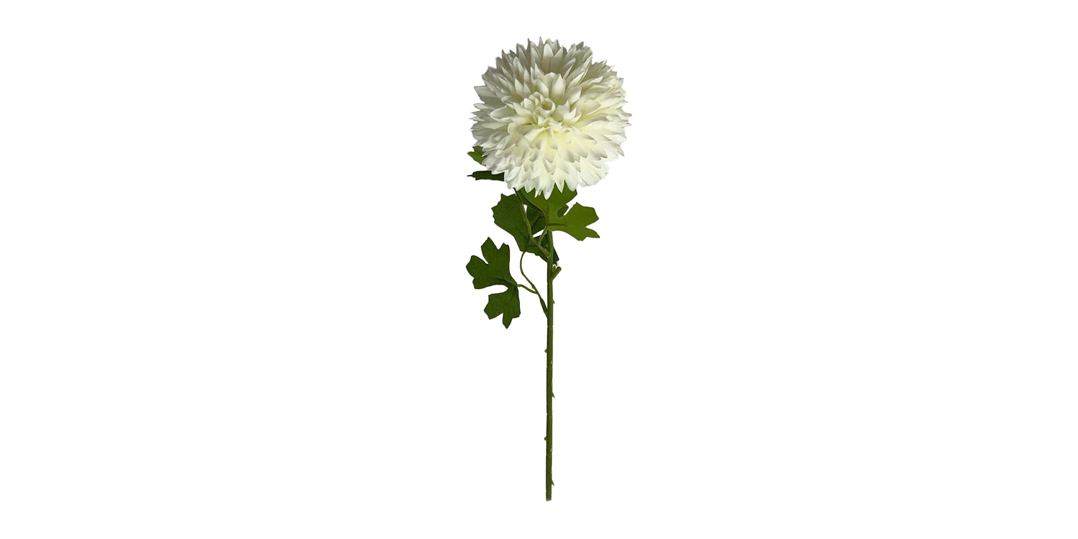 Flower Pompon Mum White