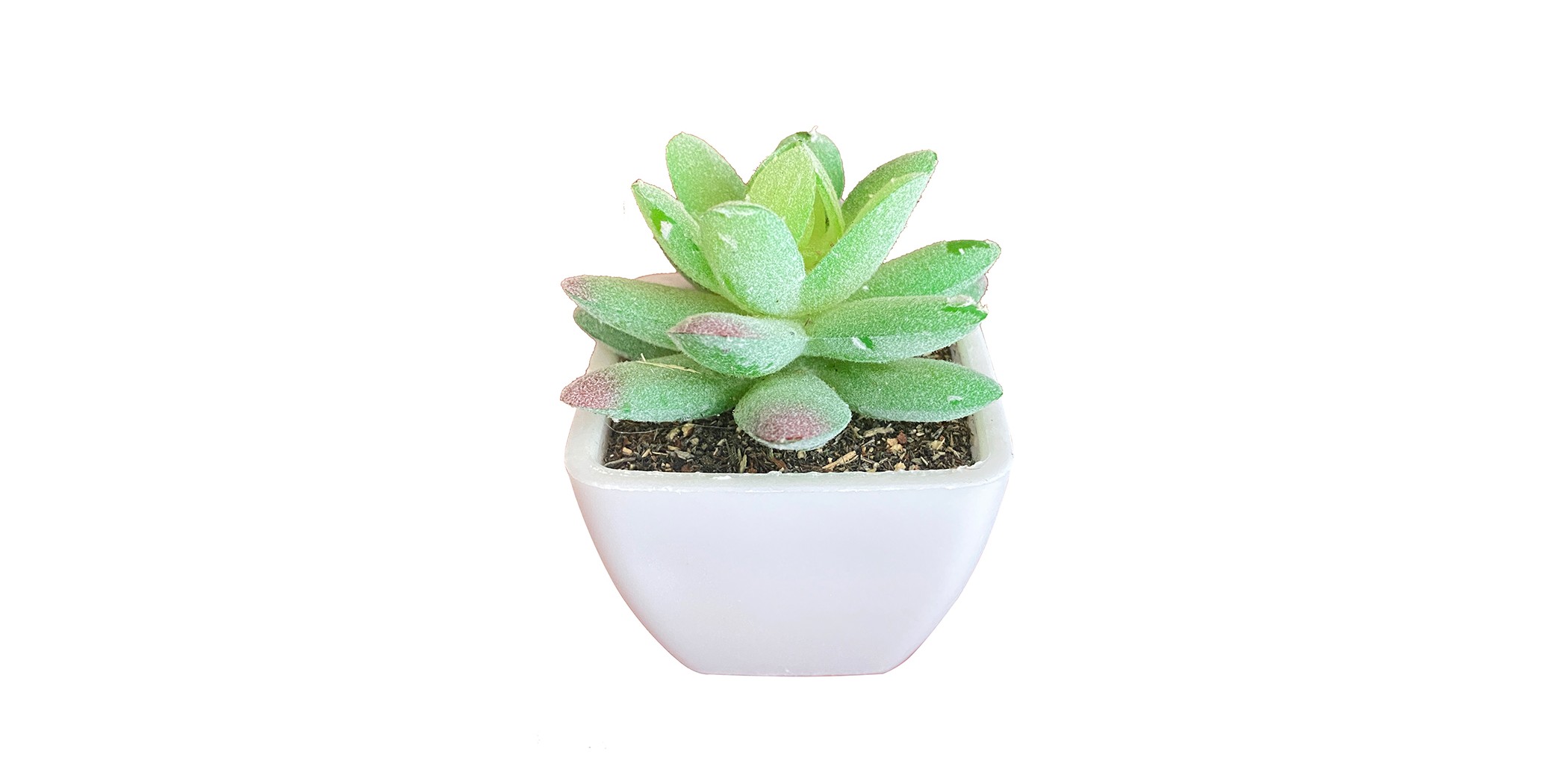 Artificial Mini Plant Tabletop Green W7xD7xH8 cm