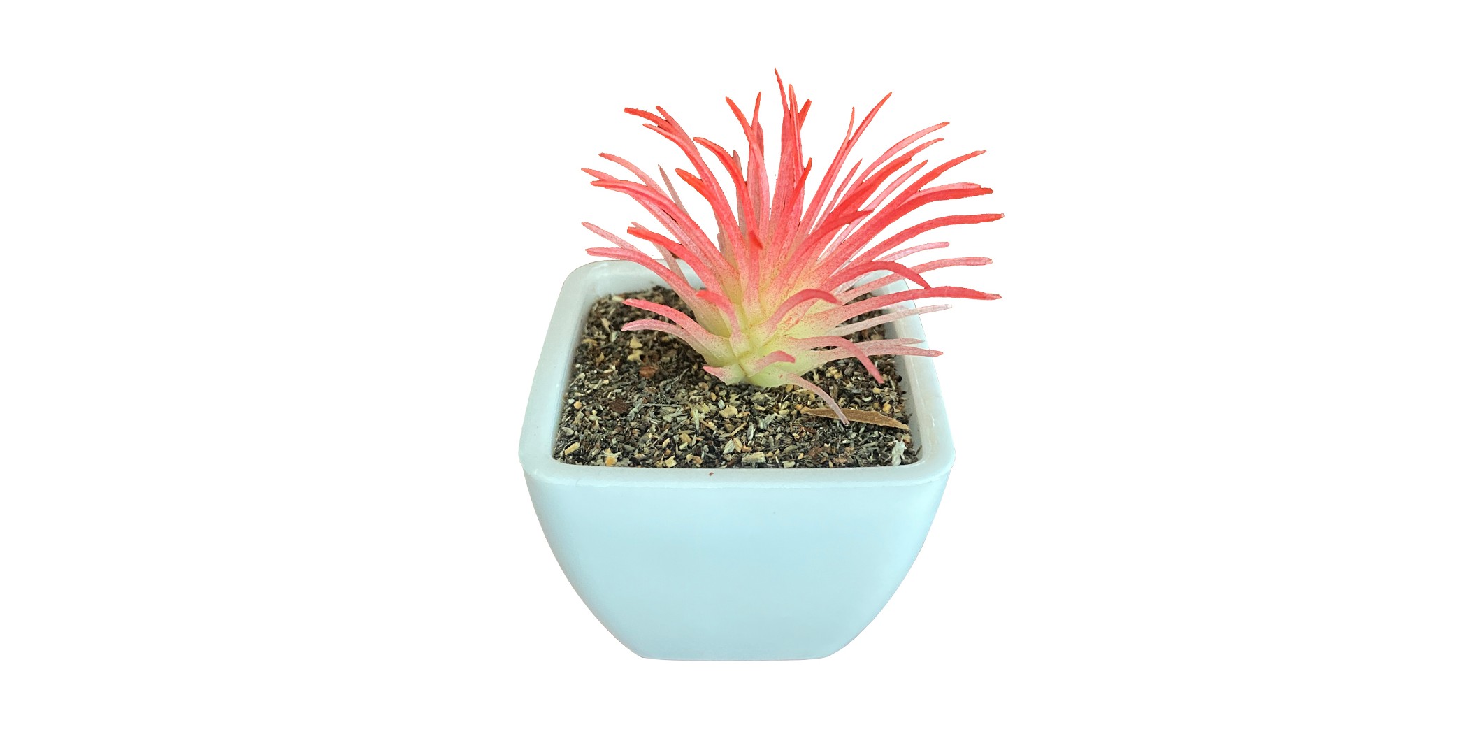 Artificial Mini Plant Tabletop Red W6xD6xH9 cm