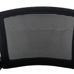 Stellar Coral Lecture Chair Black