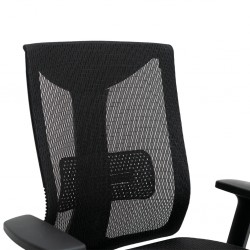 Stellar Cosmos Lower back Office Chair Black