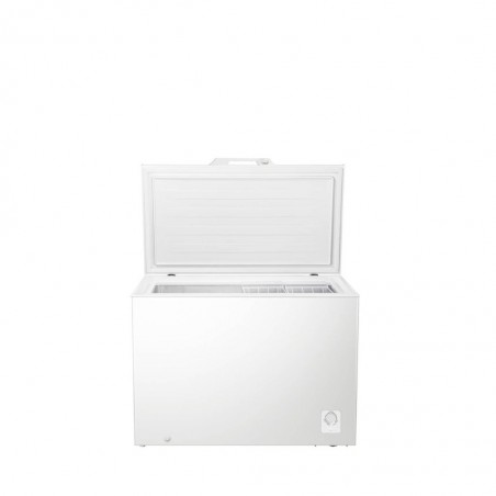 Hisense H390CF Freezer