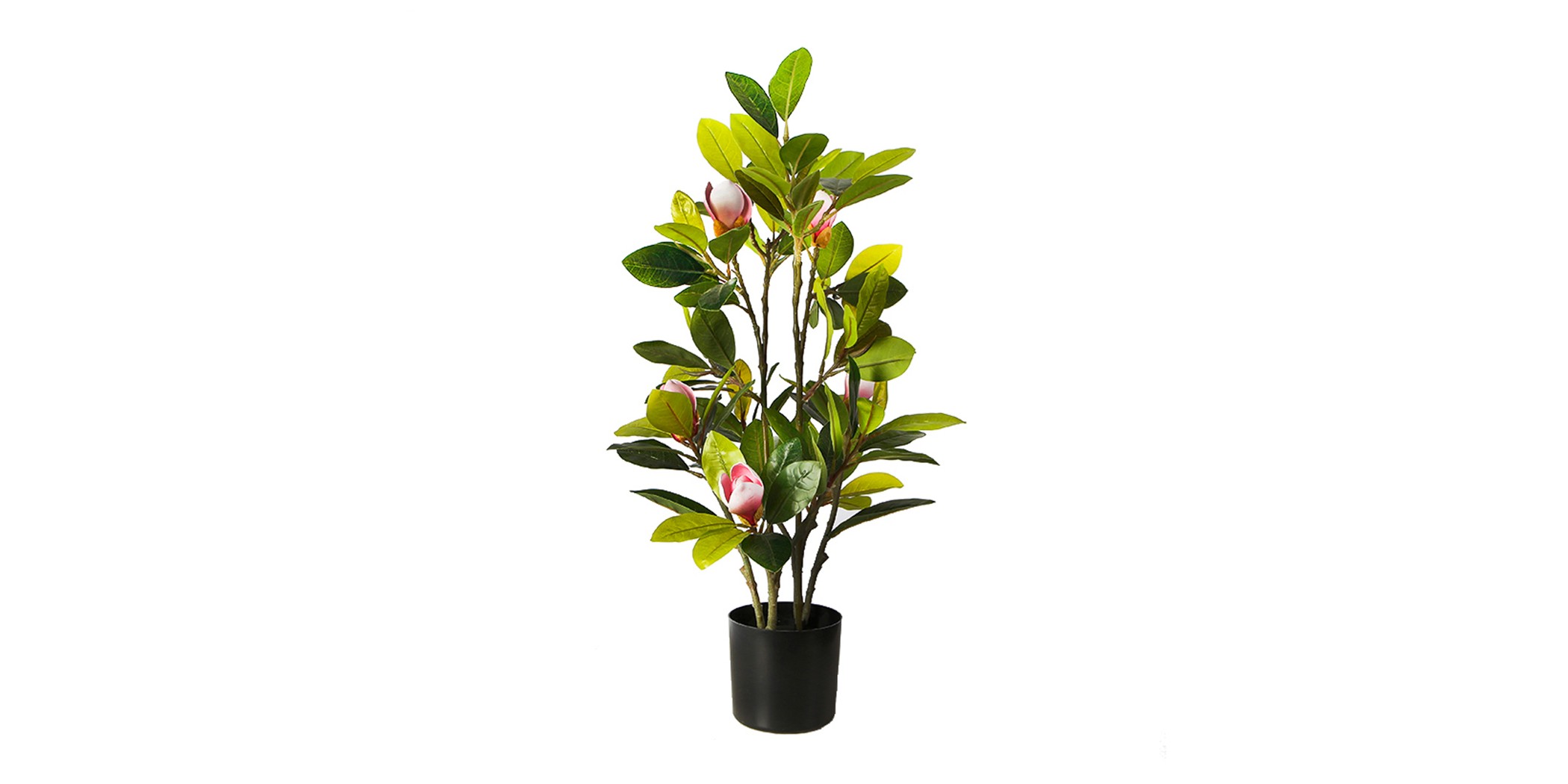 Faux Plant 70cm Magnolia in 5"pot