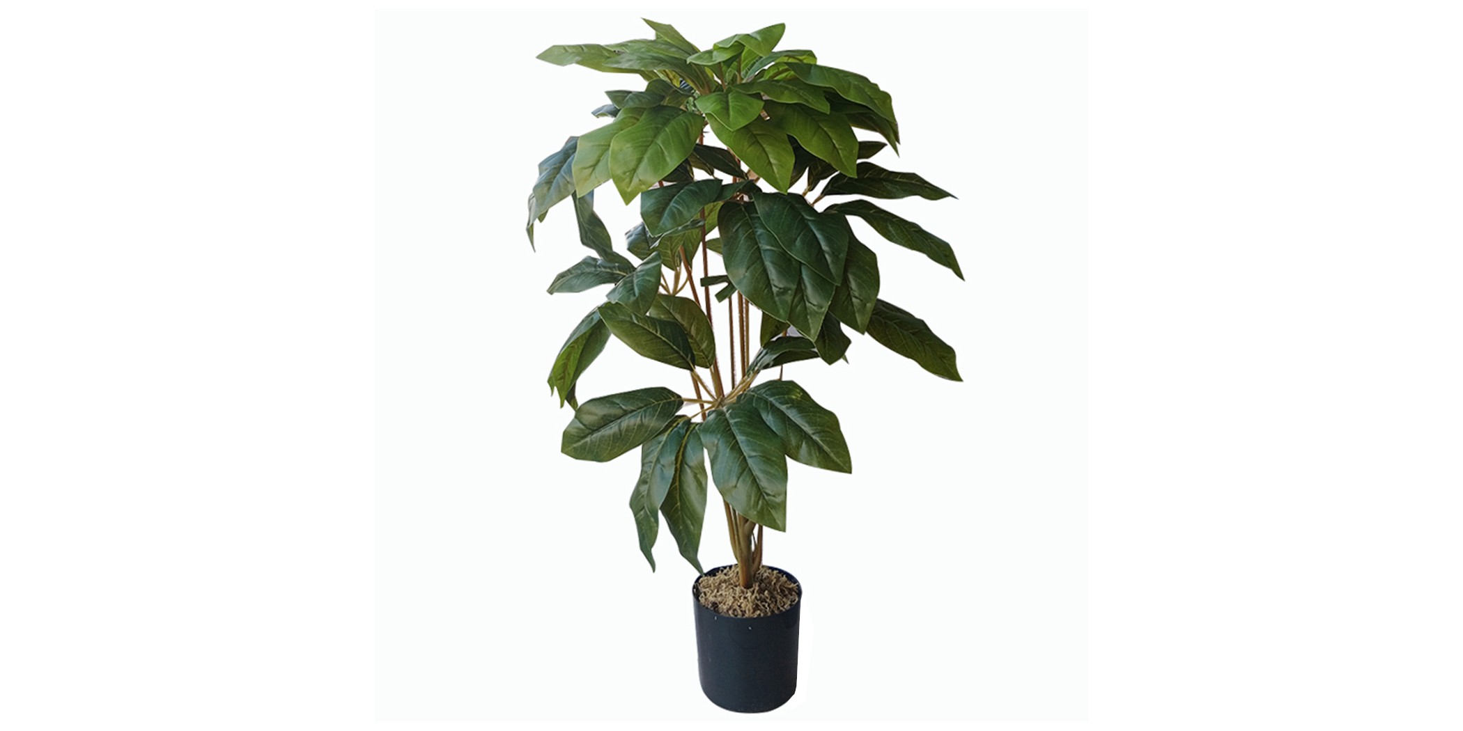 Faux plant 65cm Schefflera Plant in 5"pot