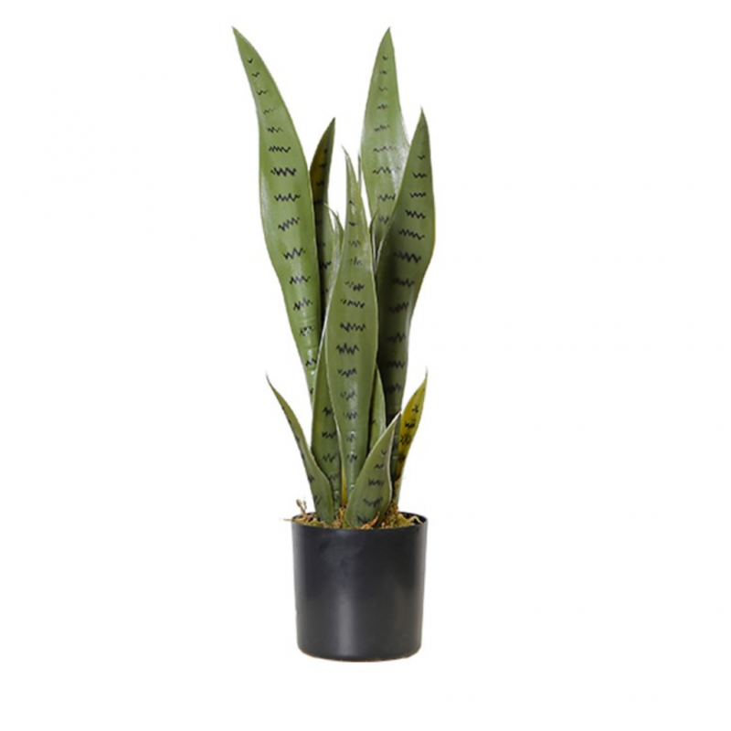 Faux plant 55CM Snake Plant In 5"POT Faux plant 55CM Snake Plant In 5"POT