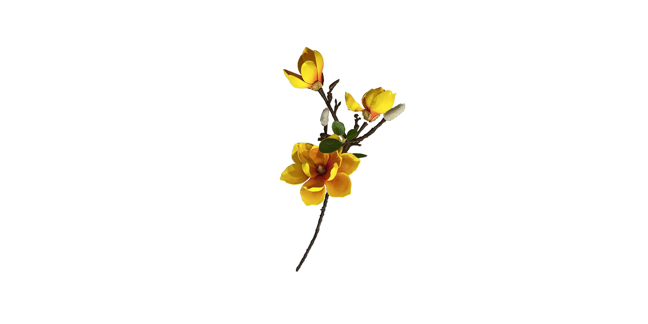 Flower Magnolia Yellow Height 70cm