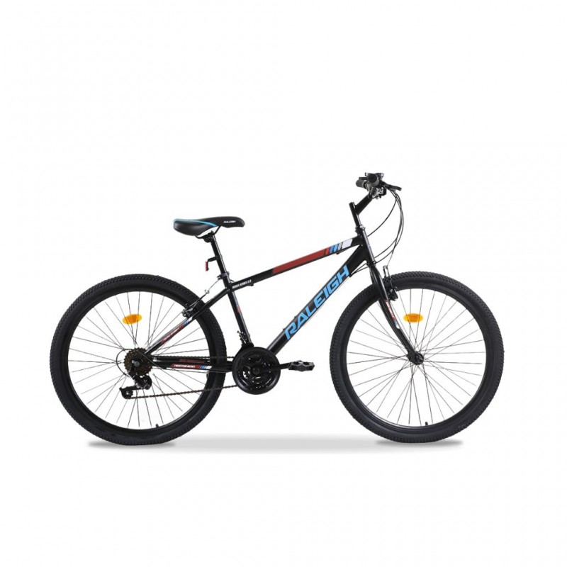 Raleigh Nexus224M-22 24" MTB