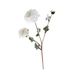 Flower Sicilian Lotus White Height 60cm