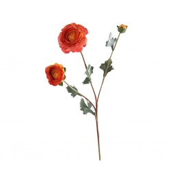 Flower Sicilian Lotus Orange Red Height 60cm