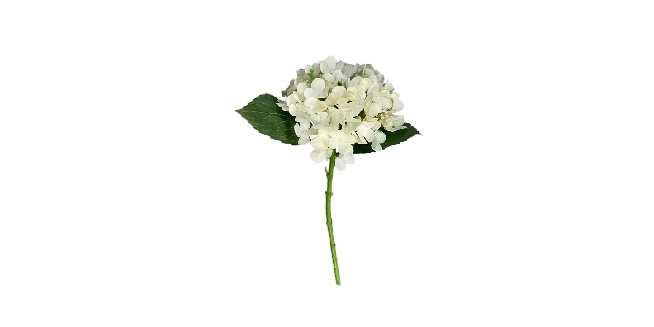 Flower Hydrangea White Height 33cm