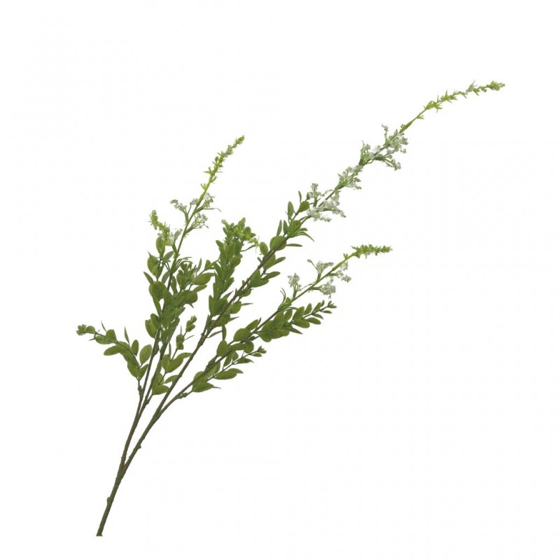 Flower Sage White Height 85cm