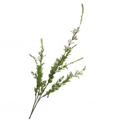 Flower Sage Pink Height 85cm