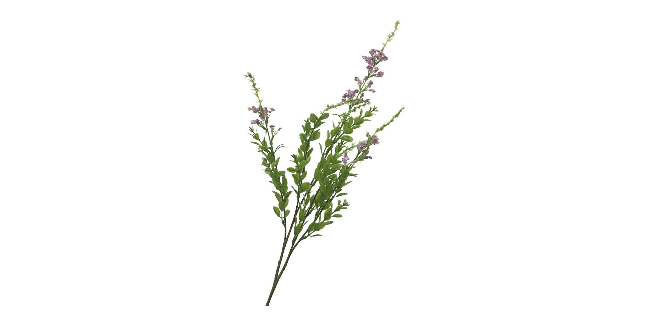 Flower Sage Purple Height 85cm
