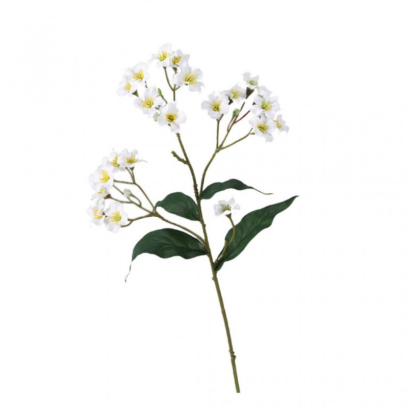 Flower Aegiceras White Height 45cm Flower Aegiceras White Height 45cm
