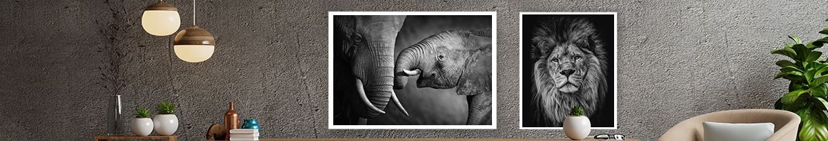 Buy Animals Painting Online at Courts Mammouth